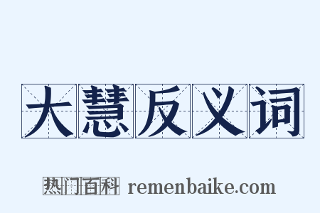 大慧反义词是什么意思的图片